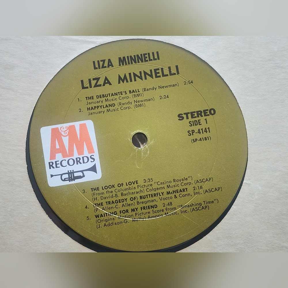 Liza Minnelli Self Titled Vinyl LP AM Records SP 4141 - Picture 3 of 6